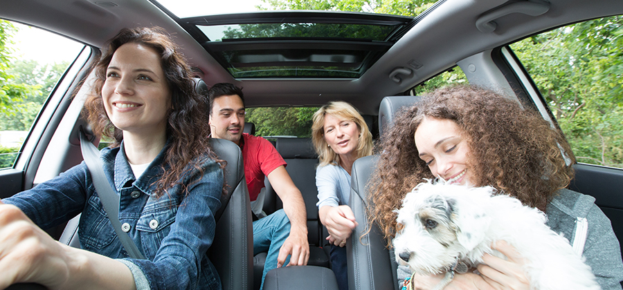 Huisdieren vervoeren met de auto via BlaBlaCar